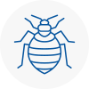 Bed Bug Extermination In Barnsbury