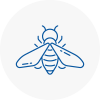 Bee Nest Removal Barnsbury