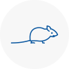 Mice Exterminators In Barnsbury