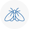 Moth Control Specialists In Barnsbury