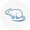 Rat Control Barnsbury