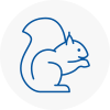 Barnsbury Rodent Removals