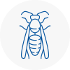 Barnsbury Wasp Nest Removal
